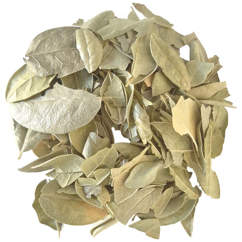 TEA Peumus Boldus Leaves 4 Oz | HOJAS DE BOLDO