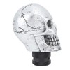 Skull Gear Shift Head Resin Shifter Knob Car Transmission Shifting