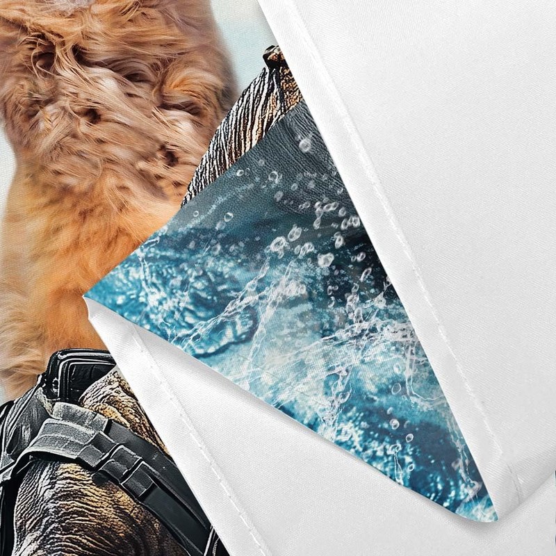Grtuspr Funny Cat Shower Curtain Set, Cute Cat Riding Dinosaur