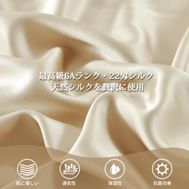 HOdo Home Silk Pillowcase 22 Momme, 100% 6A Class Silk, Single Sided Silk Pillow Case, Envelope Type, Washable, Beautiful Skin, Hair & Sleeping Reduction, Antibacterial, Odor Resistant, Anti-Static, Gift, Gift, 16.9 x 24.8 inches (43 x 63 cm), Champagne