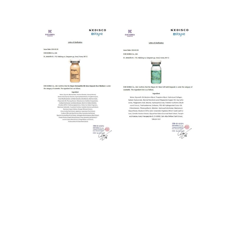 Stayve BB Shine Glow Customized Kit Booster and Pigments Mix