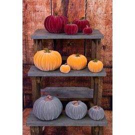 Boston International Calabaza de Terciopelo Decorativo de Mesa, Color Burdeos