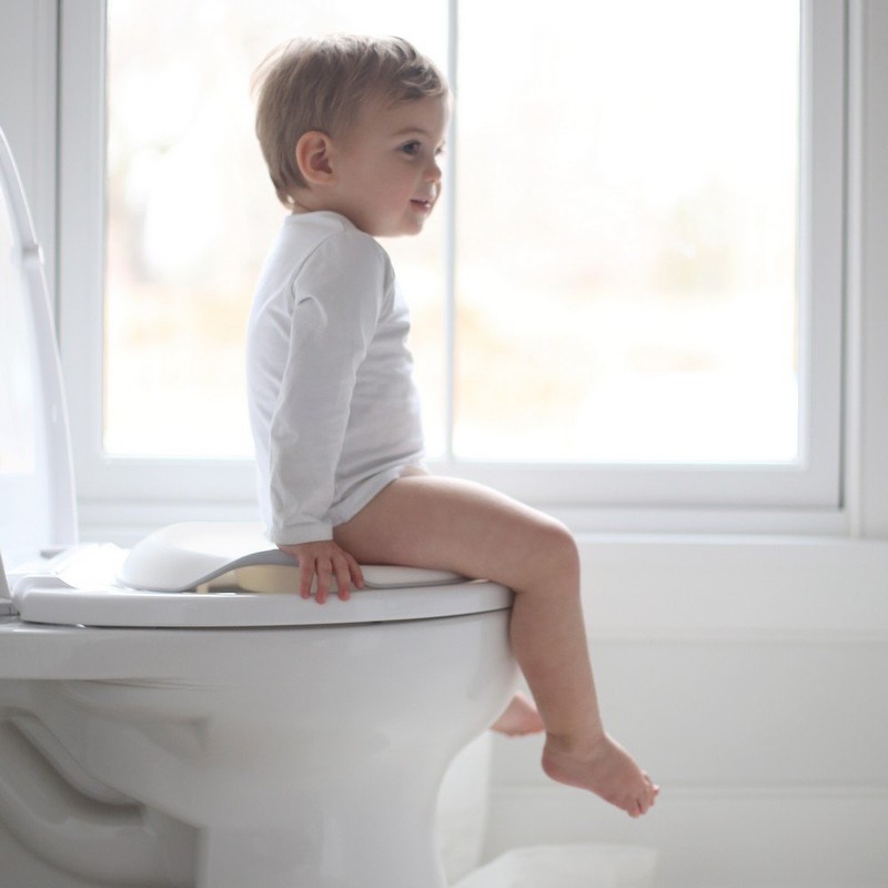 Ubbi Adjustable Toilet Trainer with Built-In Handles and Included Potty