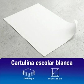 Cartulina Escolar 50 x 65 cm | Paquete 100 Piezas | Multiusos Biodegradable | Ideal para Trabajos Escolares, Manualidades, Publicidad | APSA