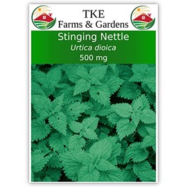 Stinging Nettle Seeds for Planting, Urtica dioica, 500 mg ~ 2000 Seeds, by TKE Farms and Gardens