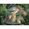 The Nuttery Oval Fatball Feeder