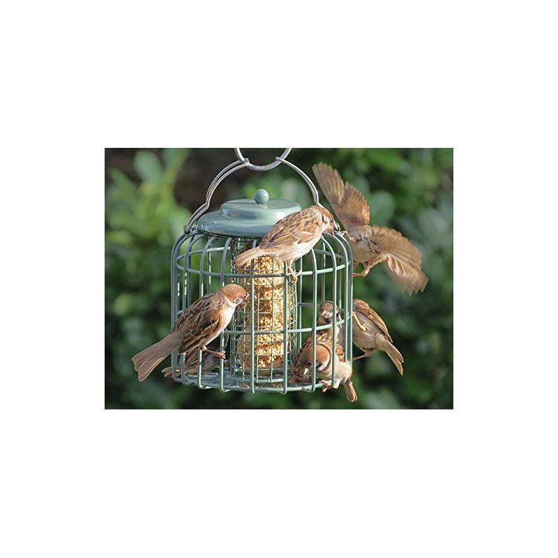 The Nuttery Oval Fatball Feeder