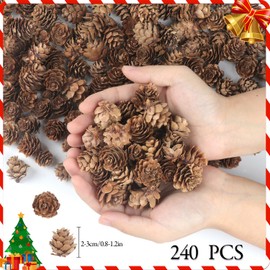 240PCS Pine Cones Christmas Natural Pinecones Small Pine Cones for Home Party Crafts Gift Wedding Christmas Tree Decoration
