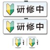 NYANDELMO Training Badge, Wakaba Mark, Beginner, Acrylic, Clip, Pin, 3.0