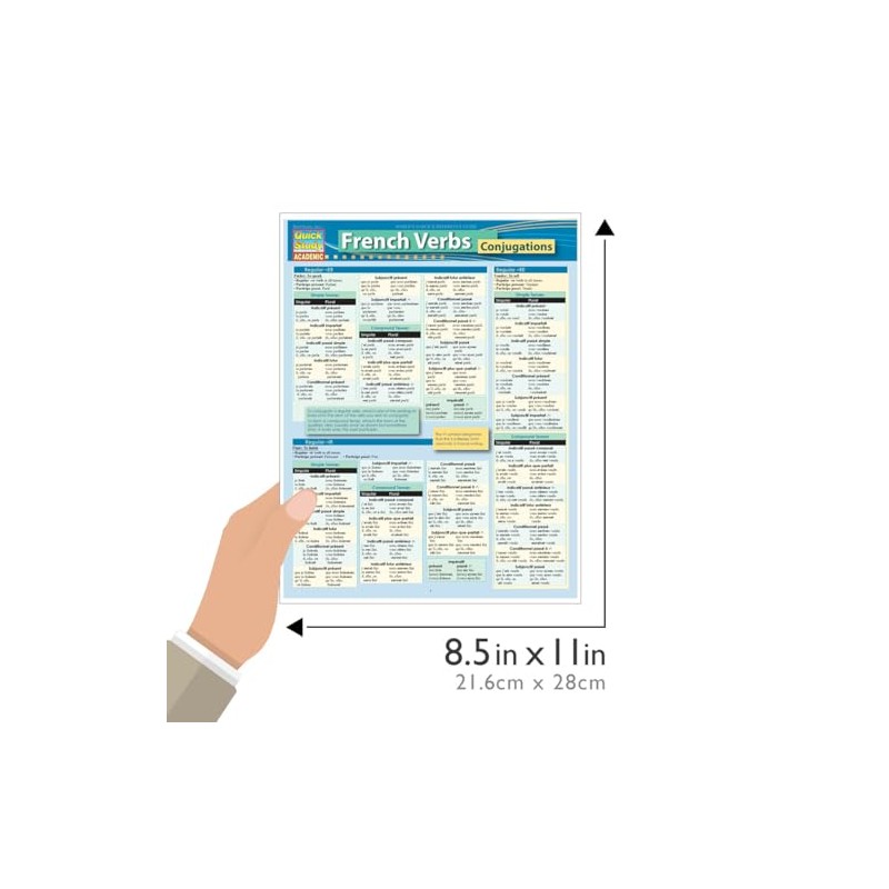 French Verb Conjugations QuickStudy Laminated Reference Guide (QuickStudy Academic) (French