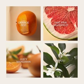 NEST New York- Aceite perfumado de naranja de Sevilla en roll-on, 0,2 onzas líquidas