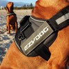 EzyDog Side Badge - Clearly Identifies Your Dog When Wearing