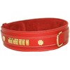 BBD Mastiff Collar, small, red