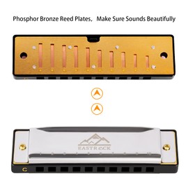 EastRock Harmonica in C Major Harmonica with Box, 10-Hole Harmonica for Student, Intermediate and Beginner, Silver and Black (10 Holes, Silver)