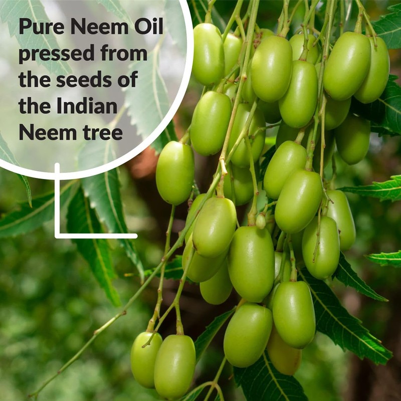 SUPERthrive Pure Neem Oil Natural Leaf, 8 oz