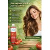 Shampoo Jitomate 530ml Nutricion Capilar Shelo Nabel