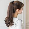 ALLMIRA ポニーテールウィッグ エクステ ロング 長さ 35 45 55cm 4色展開 付け毛