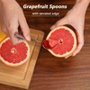 Grapefruit Spoon 4 Piece Set, Grapefruit Spoon, Kiwi Spoon with