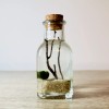 Toss Rocks Marimo Moss Ball Terrarium Kit