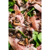 La Rustichella - Black Sliced Truffle - 100% Made in