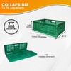 TEJAL 23.63 x 15.74 x 8.85 Collapsible Storage Bin-Green (1PK-