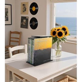 AceLuste Vinyl Record Storage Rack, 40LPs+ Capacity Wooden Vinyl Albums Display Organizer with Acrylic Board, Quick Assembly Retro Style Record Storage Box for CD, Magazine, File