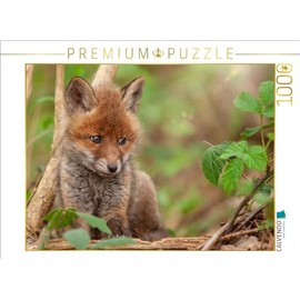 CALVENDO Puzzle A Motif from The Calendar Foxes - Magical Souls | 1000 Pieces Size 25" x 19"