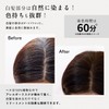 The Henna Henna Henna Dark Brown (Easy Trial Set, 2.1
