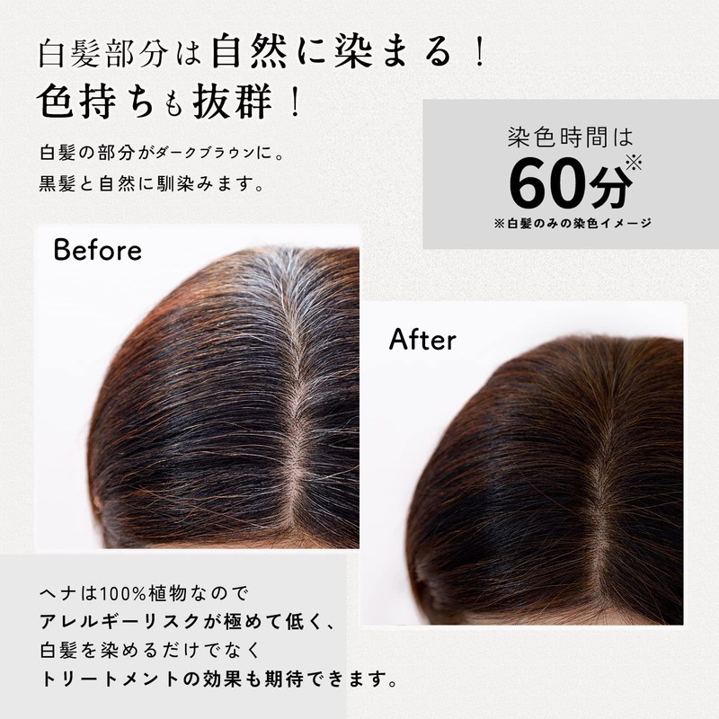 The Henna Henna Henna Dark Brown (Easy Trial Set, 2.1