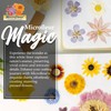Microfleur Microwave Flower Press Max White Liners – Essential Accessory