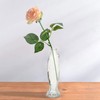 Fish-Shaped Glass Bottle Delicate Glass Bottle Fish Shaped Vase Decorative