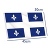 12x18 Inch Quebec Flag,30x45 cm Nautical Canada Province Quebec Flag,Small