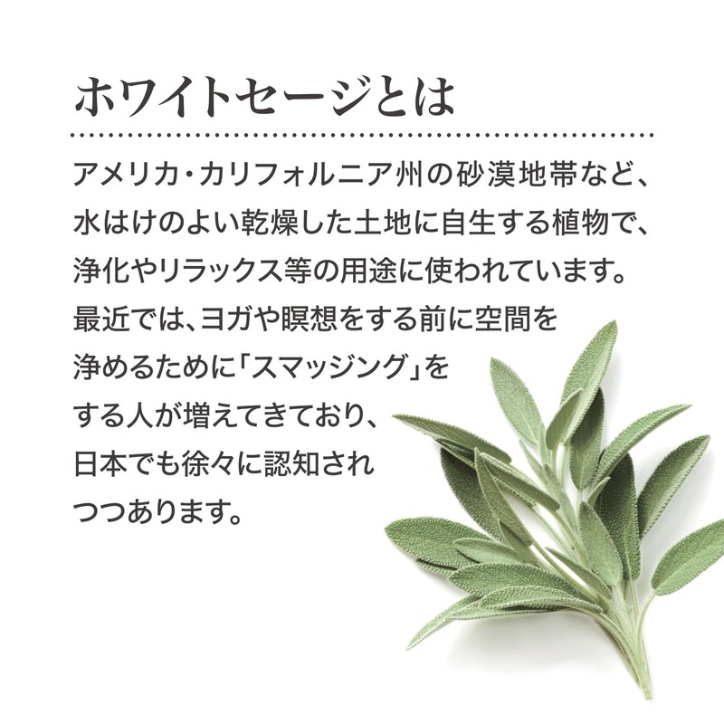 Kameyama Purifying Incense, White Sage, Approx. 2.5 oz (70 g),