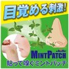 MINTPATCH Mint Patch, Pack of 2