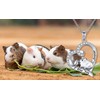 DAOCHONG 925 Sterling Silver Cute Animal Guinea Pig Pet Hamster