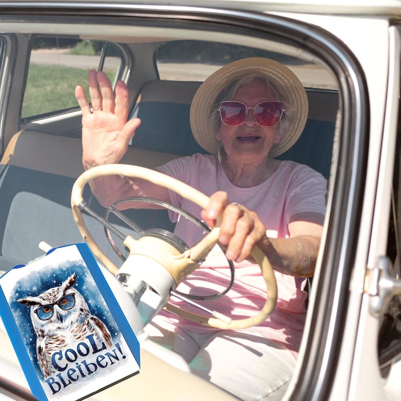 Stay Cool Parking Disc Snow Owl with Sunglasses Funny Parking