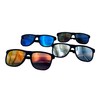 ZSUN UV400 Tinted Reflective Lens Sunglasses with Frosted Temples Sun