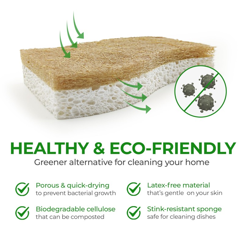 AIRNEX Biodegradable Natural Kitchen Sponge - Compostable Cellulose and Coconut