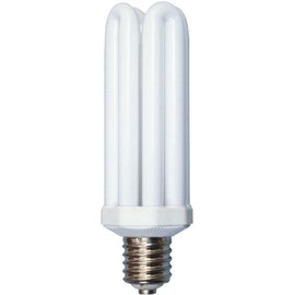 Designers Edge L765 65-Watt Fluorescent Bulb Replacement, Equivalent to 300 Watt Incandescent, Style 4U, Mogul Base