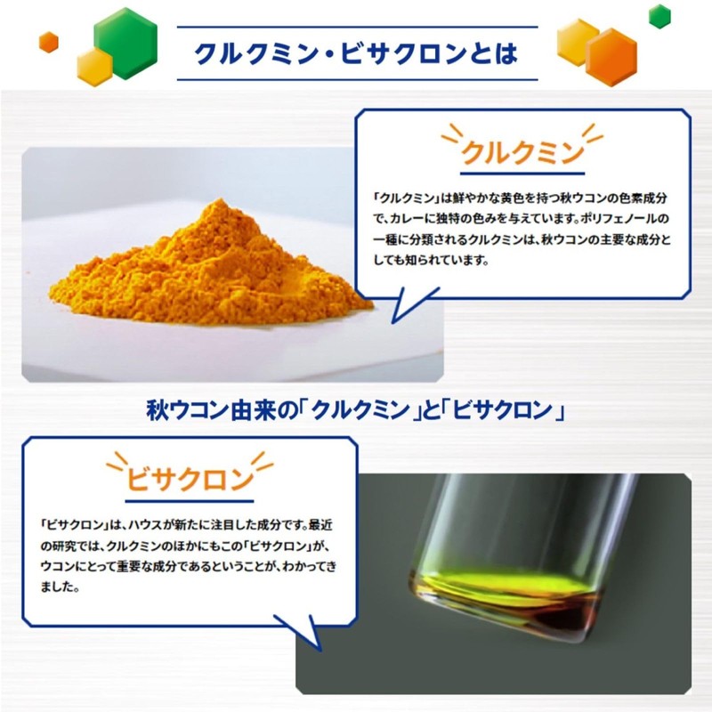 Power of Turmeric Granules <10 servings>