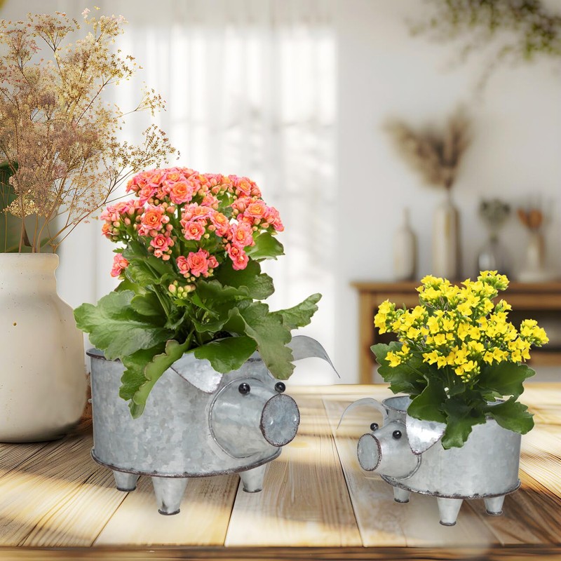 ShabbyDecor Galvanized Metal Pig Succulent Planter Farmhouse Pig Shaped Bowl