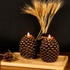 DRomance Flameless Pinecone Candles Battery Operated with 6 Hour Timer