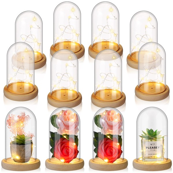 Set of 12 Plastic Cloche Dome with Rustic Wood Base and LED Light Plastic Dome Display Case Jar for Wedding Rose Tabletop Centerpiece Decoration (6.5 x 3.7 Inch)