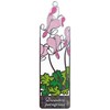 Stained-Glass Style Bookmark [SD] ( Dicentra peregrina )
