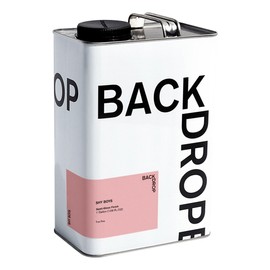 BACKDROP | Premium Interior Paint | Semi-Gloss Finish for Trim & Doors | Self-Priming, Low VOC, Green Wise Certified | SHY BOYS - True pink | 1 Gallon