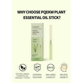 Mullein & Mint Diffuser Sticks – Plant-Based Breath & Relaxation Support