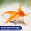 AQUARIAN Aquarian Goldfish Food Flakes, 50g