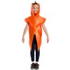 Charlie Crow Carrot Vegetable Costume for kids 3-8 years.