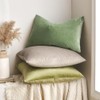 MIULEE Set of 2 Velvet Soft Solid Decorative Square Throw