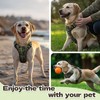 No Pull Dog Harness, Reflective Adjustable Dog Vest with Front/Back